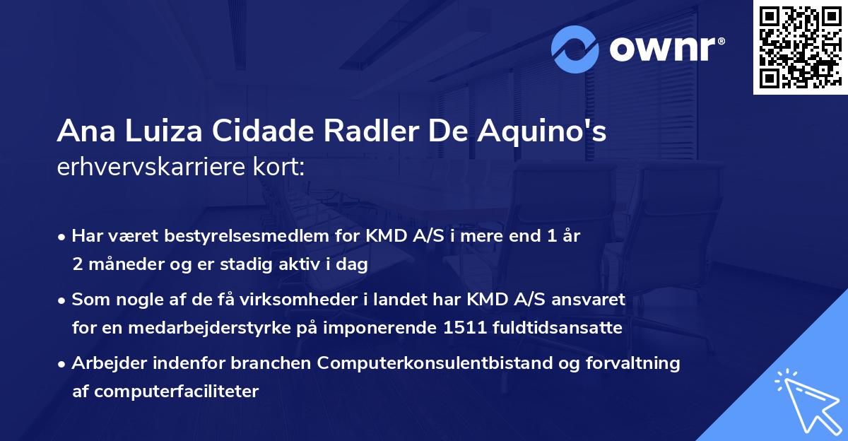 Ana Luiza Cidade Radler De Aquino's erhvervskarriere kort