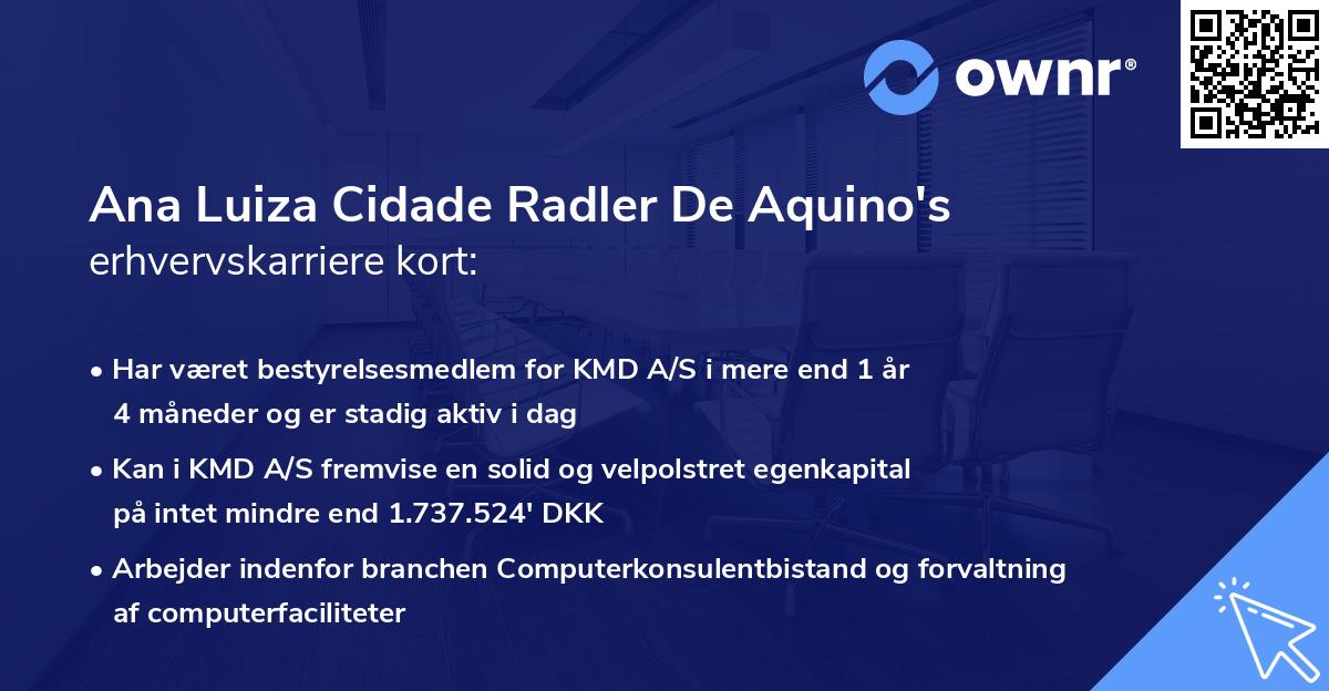 Ana Luiza Cidade Radler De Aquino's erhvervskarriere kort