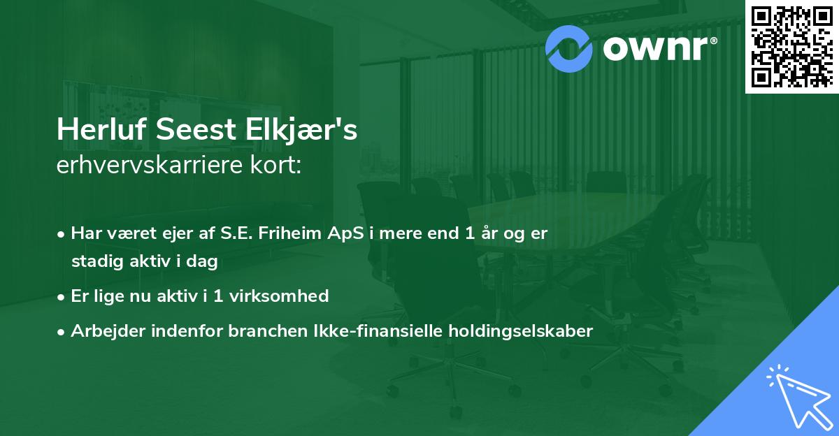 Herluf Seest Elkjær's erhvervskarriere kort