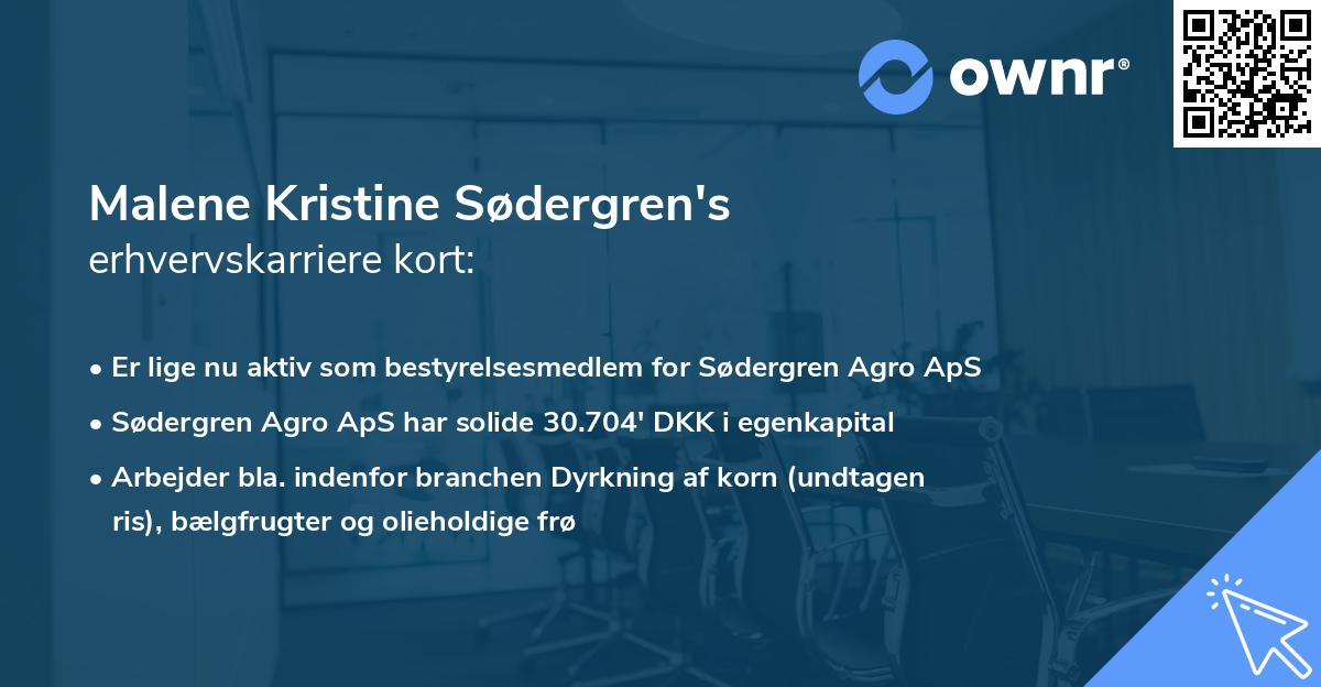 Malene Kristine Sødergren's erhvervskarriere kort