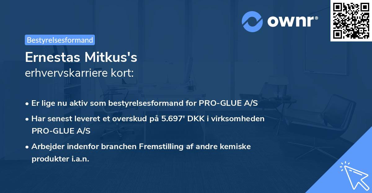 Ernestas Mitkus's erhvervskarriere kort