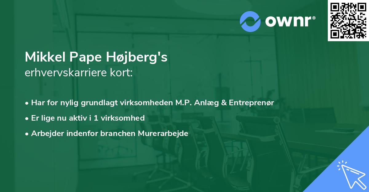 Mikkel Pape Højberg's erhvervskarriere kort