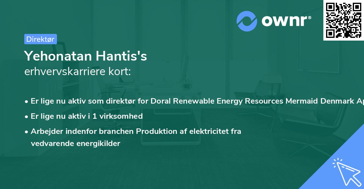 Yehonatan Hantis's erhvervskarriere kort