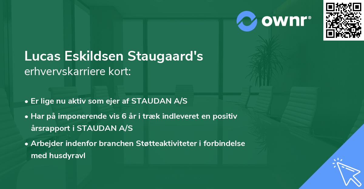 Lucas Eskildsen Staugaard's erhvervskarriere kort