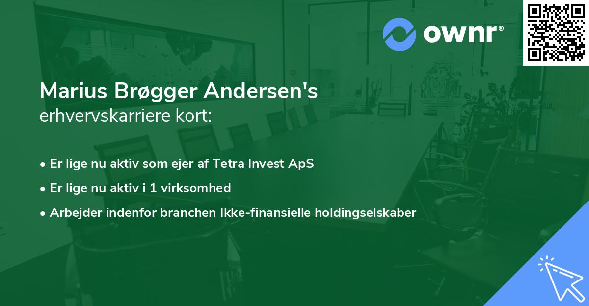 Marius Brøgger Andersen's erhvervskarriere kort