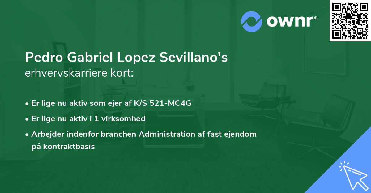 Pedro Gabriel Lopez Sevillano's erhvervskarriere kort