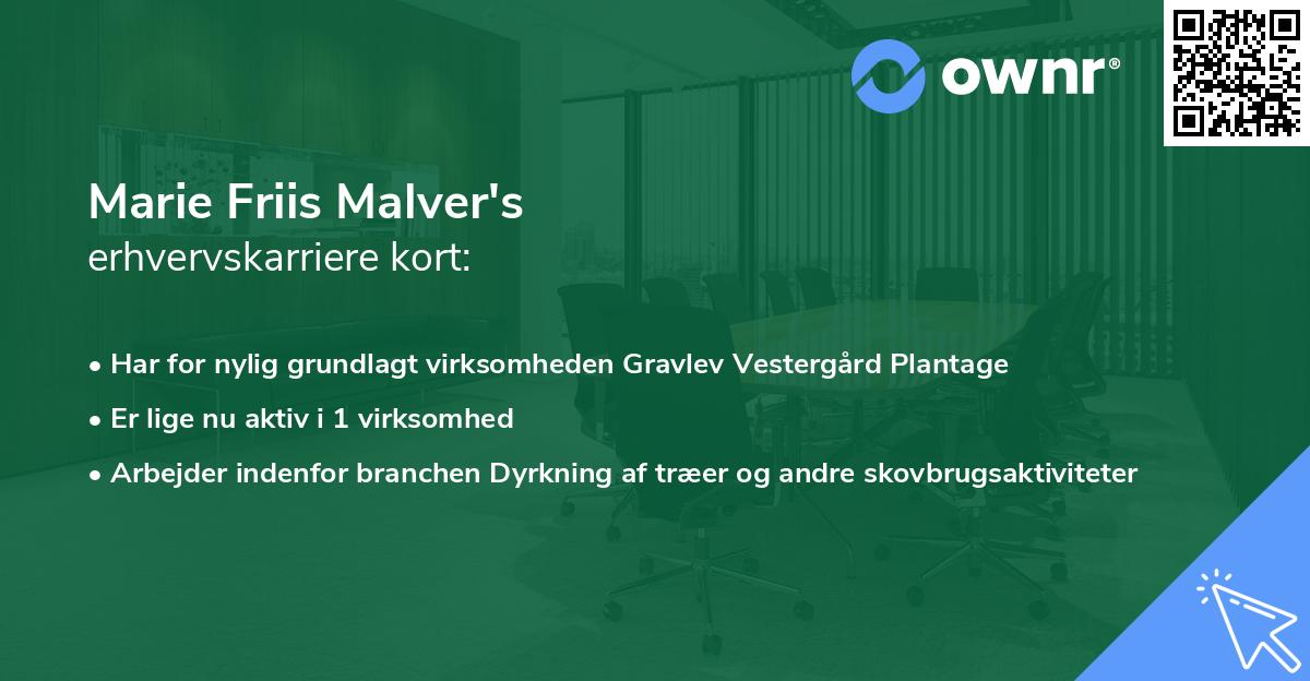 Marie Friis Malver's erhvervskarriere kort