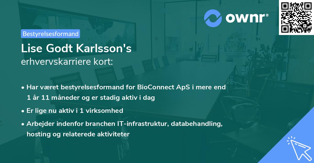 Lise Godt Karlsson's erhvervskarriere kort