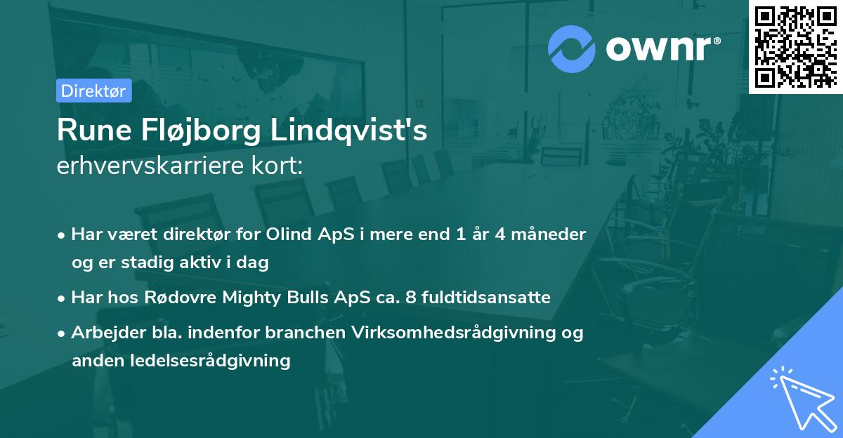 Rune Fløjborg Lindqvist's erhvervskarriere kort
