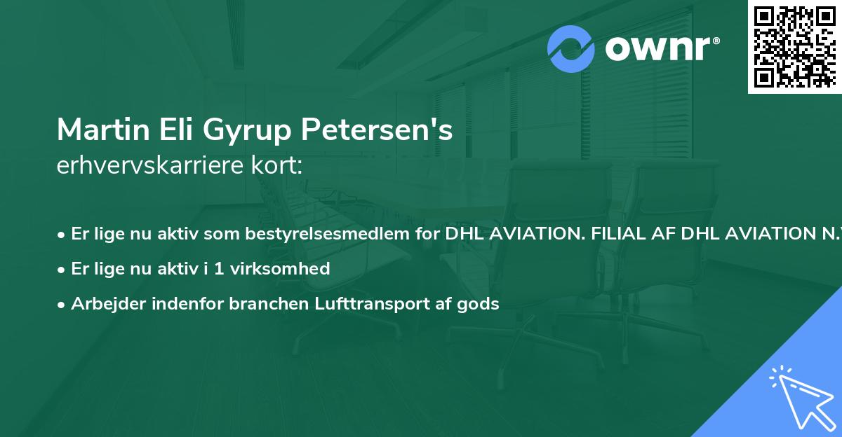 Martin Eli Gyrup Petersen's erhvervskarriere kort
