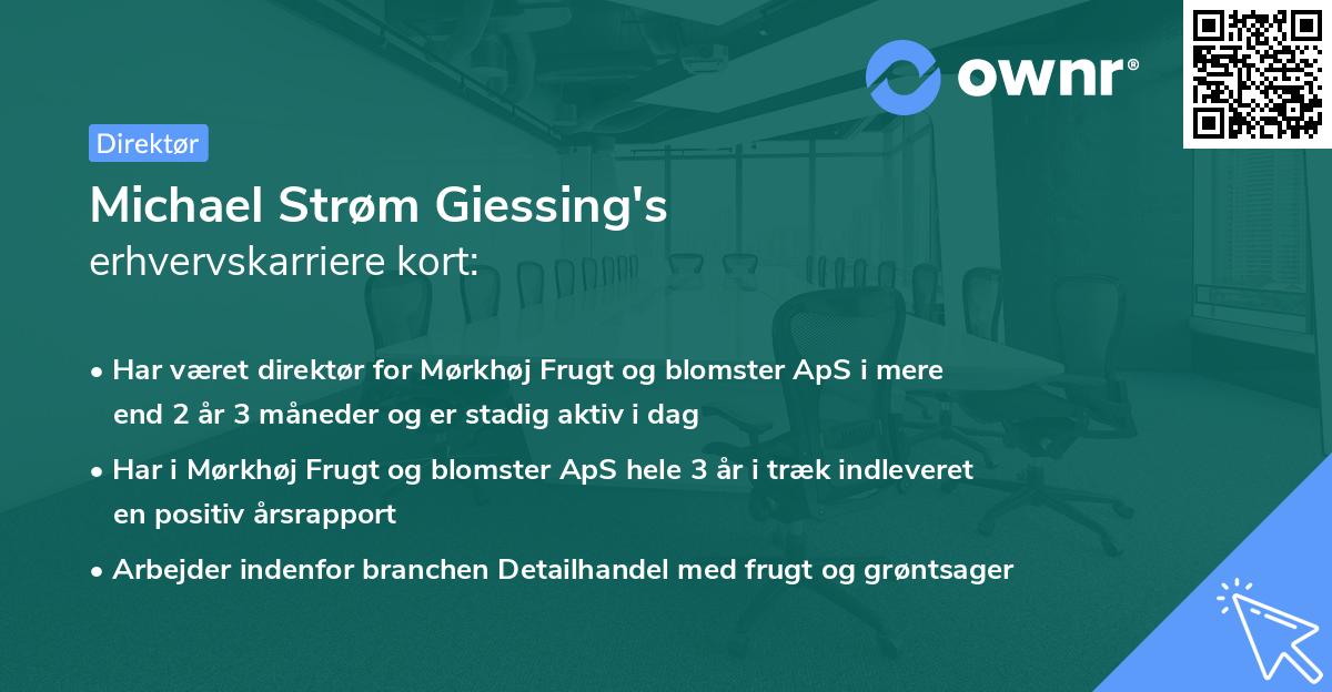 Michael Strøm Giessing's erhvervskarriere kort