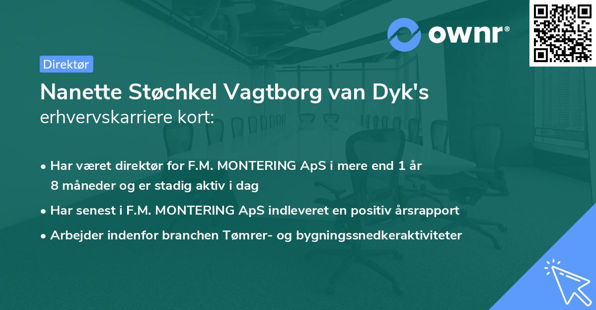 Nanette Støchkel Vagtborg van Dyk's erhvervskarriere kort