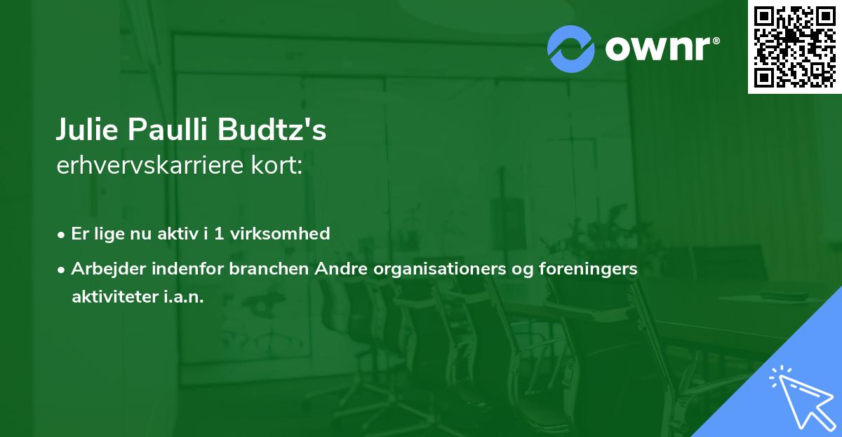 Julie Paulli Budtz's erhvervskarriere kort