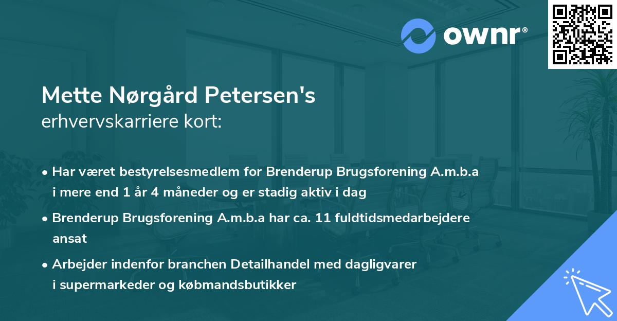 Mette Nørgård Petersen's erhvervskarriere kort
