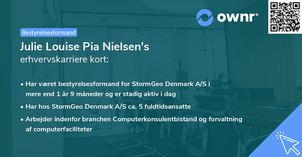Julie Louise Pia Nielsen's erhvervskarriere kort