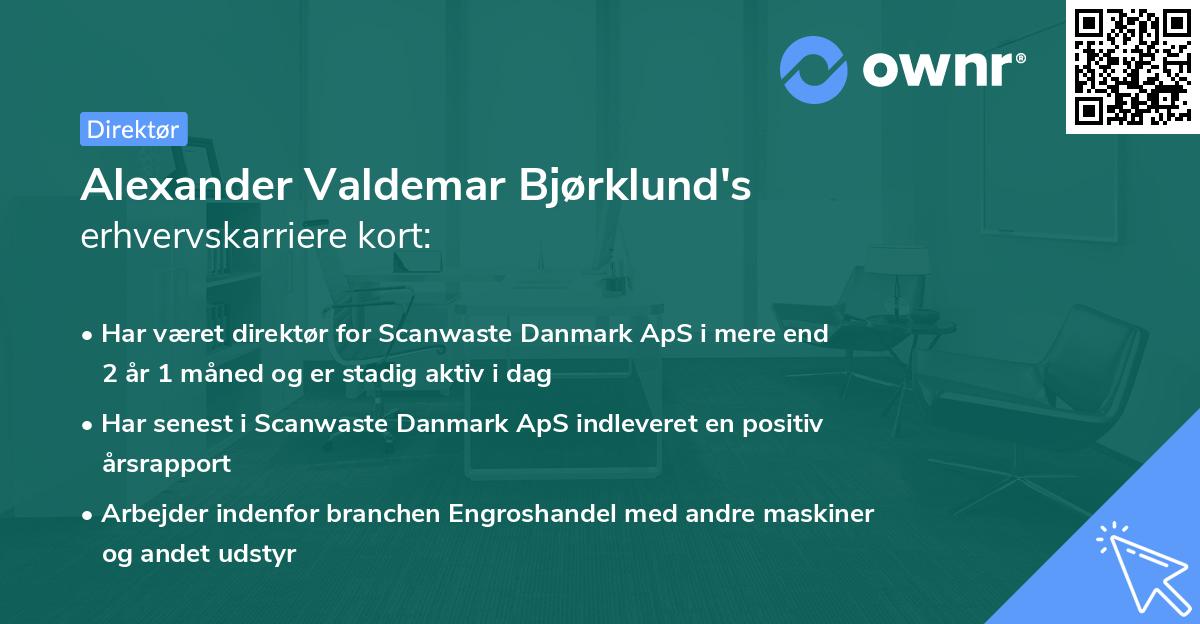 Alexander Valdemar Bjørklund's erhvervskarriere kort