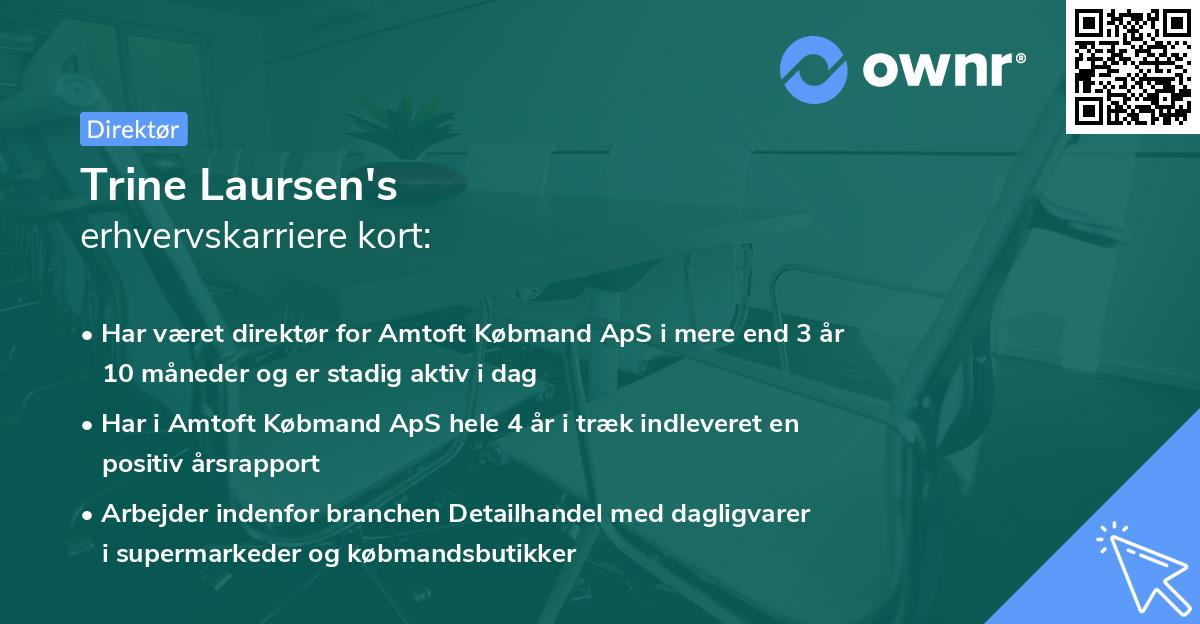 Trine Laursen's erhvervskarriere kort