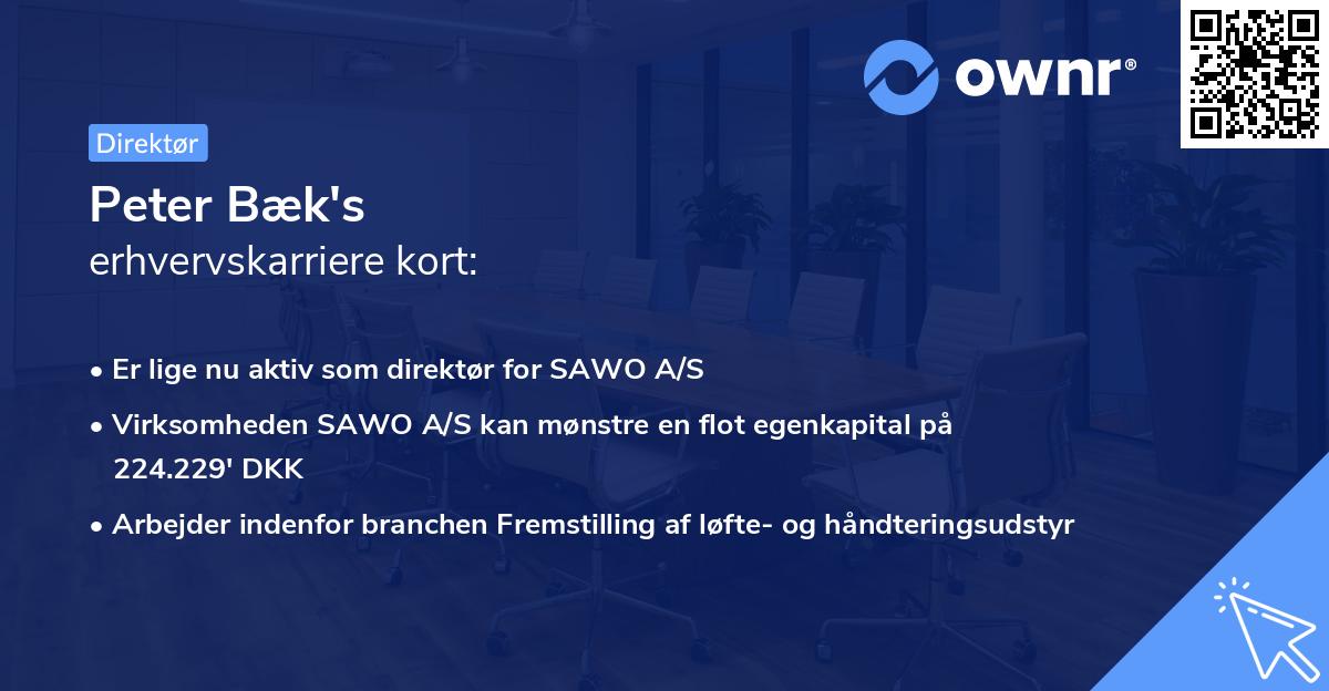 Peter Bæk's erhvervskarriere kort