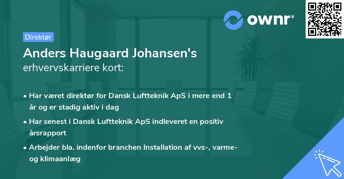 Anders Haugaard Johansen's erhvervskarriere kort