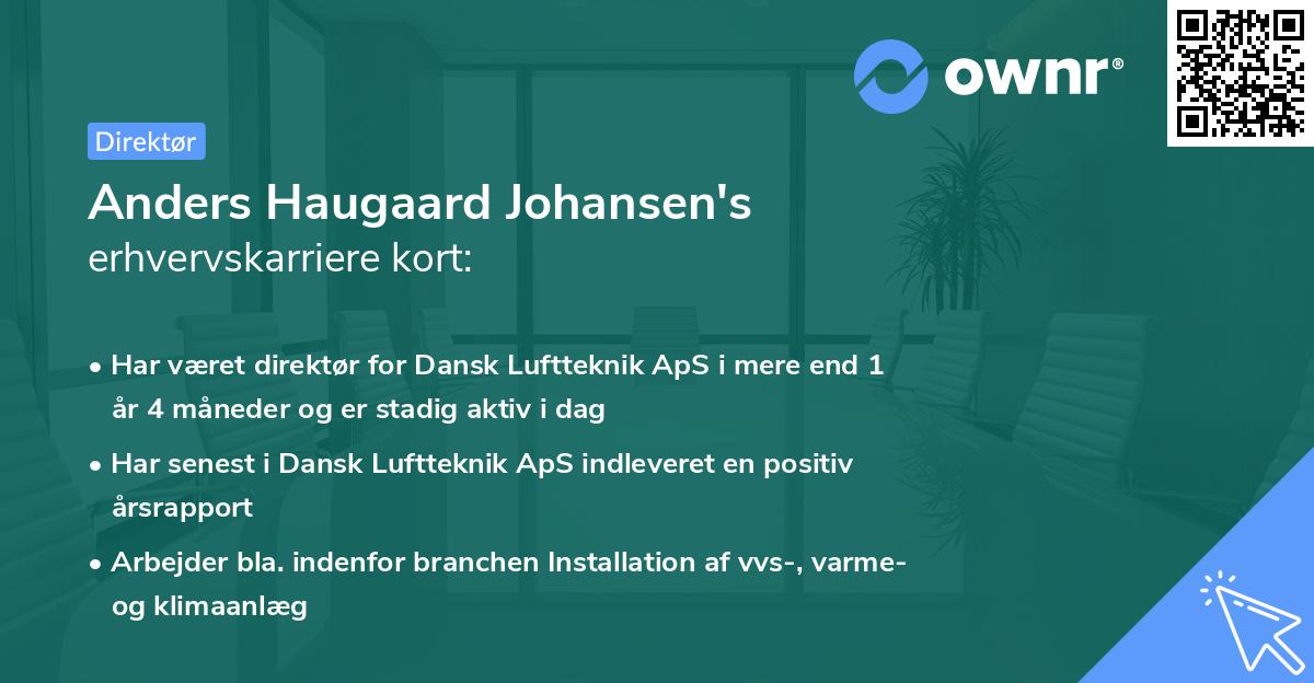 Anders Haugaard Johansen's erhvervskarriere kort