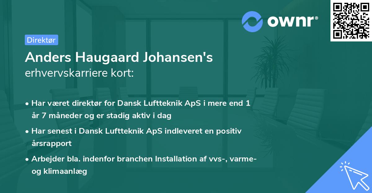 Anders Haugaard Johansen's erhvervskarriere kort