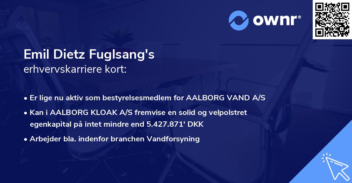Emil Dietz Fuglsang's erhvervskarriere kort
