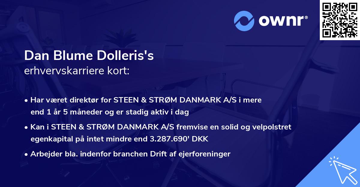 Dan Blume Dolleris's erhvervskarriere kort