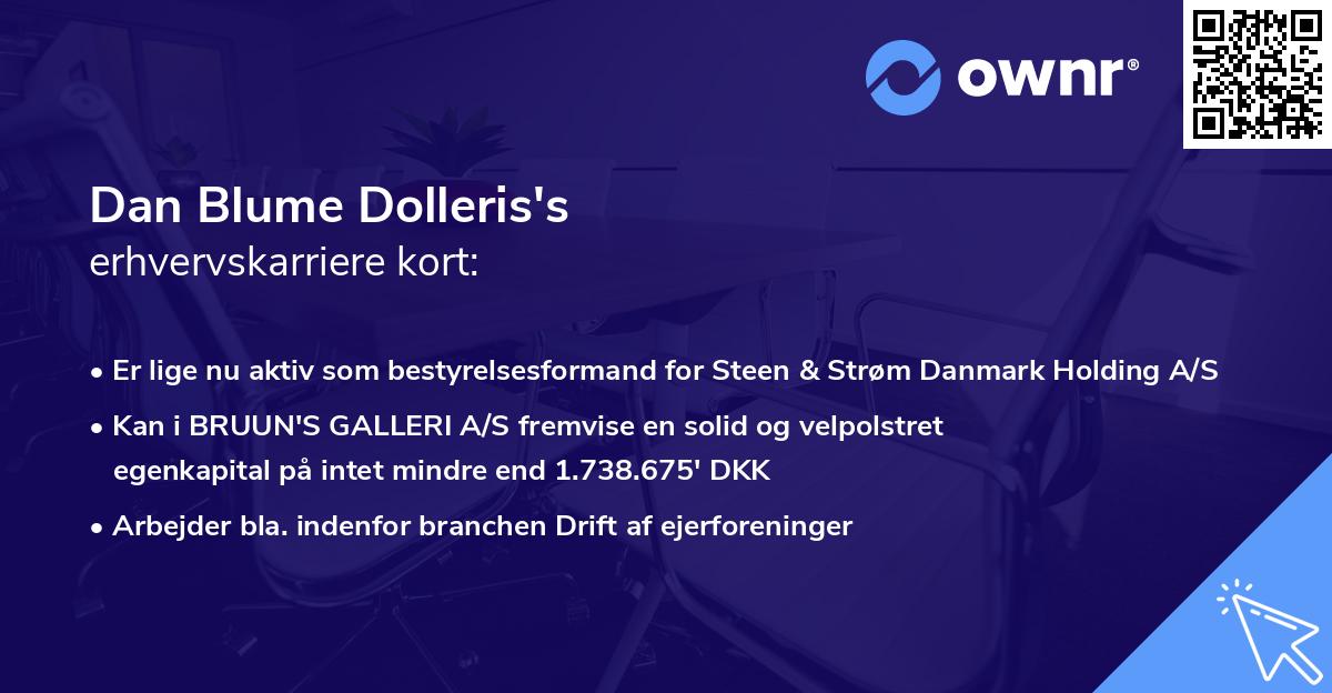 Dan Blume Dolleris's erhvervskarriere kort