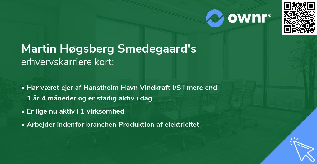 Martin Høgsberg Smedegaard's erhvervskarriere kort