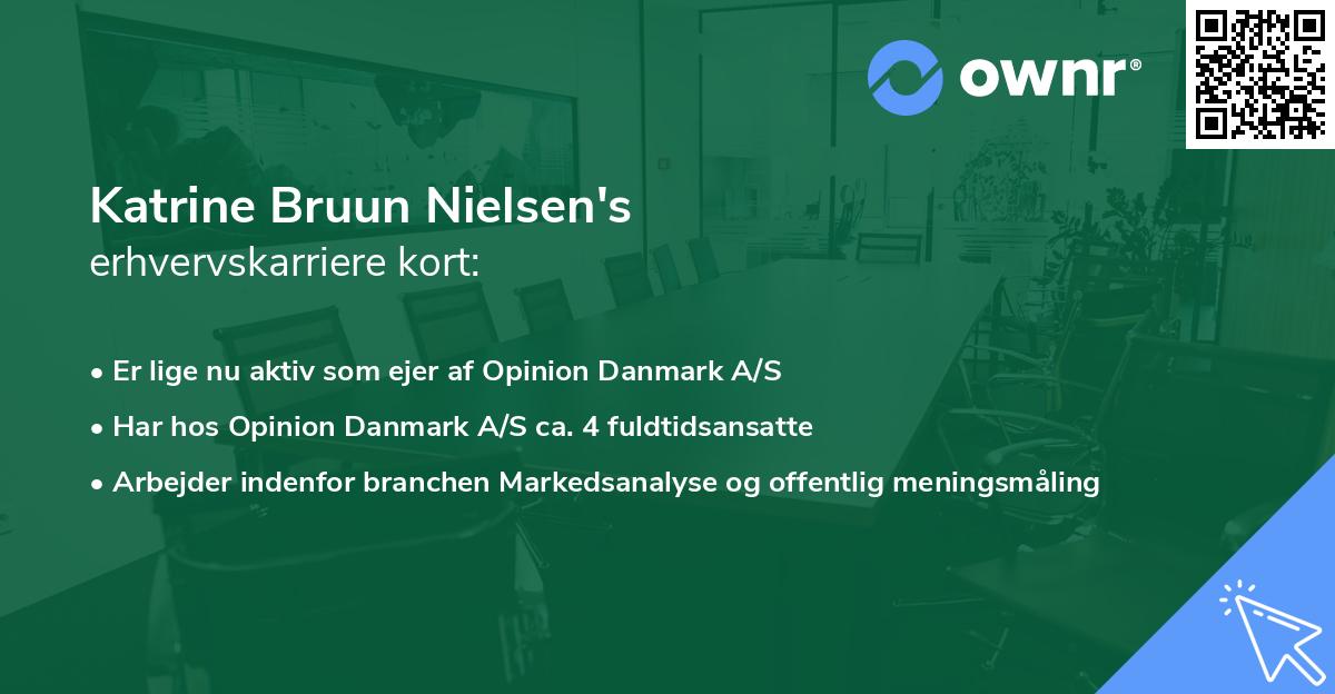 Katrine Bruun Nielsen's erhvervskarriere kort