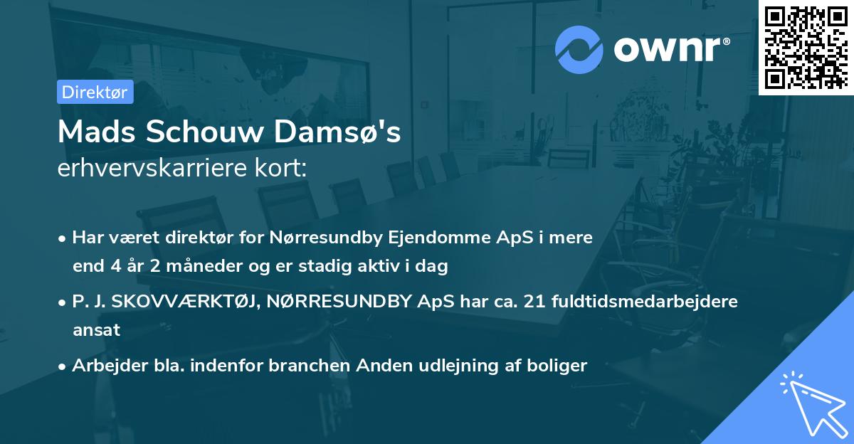 Mads Schouw Damsø's erhvervskarriere kort