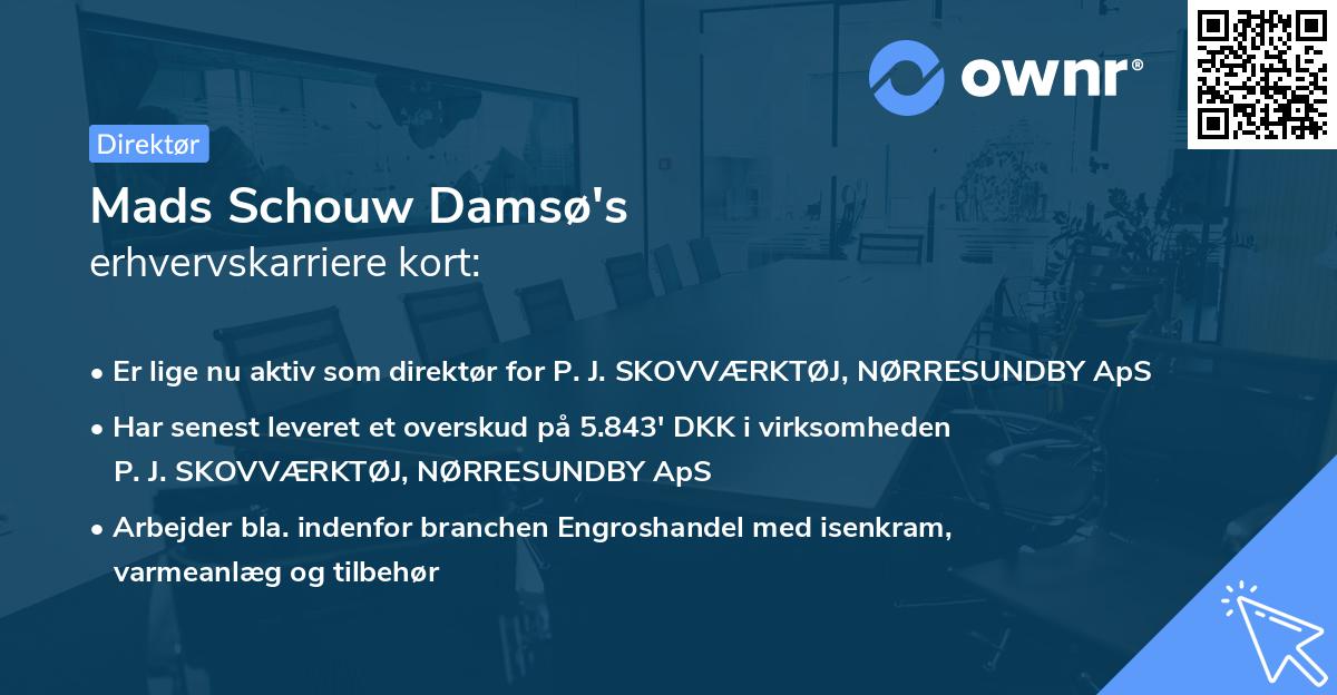 Mads Schouw Damsø's erhvervskarriere kort