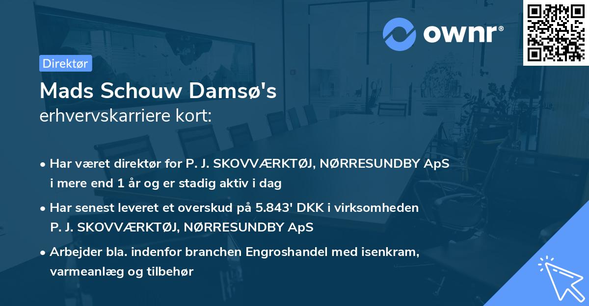 Mads Schouw Damsø's erhvervskarriere kort