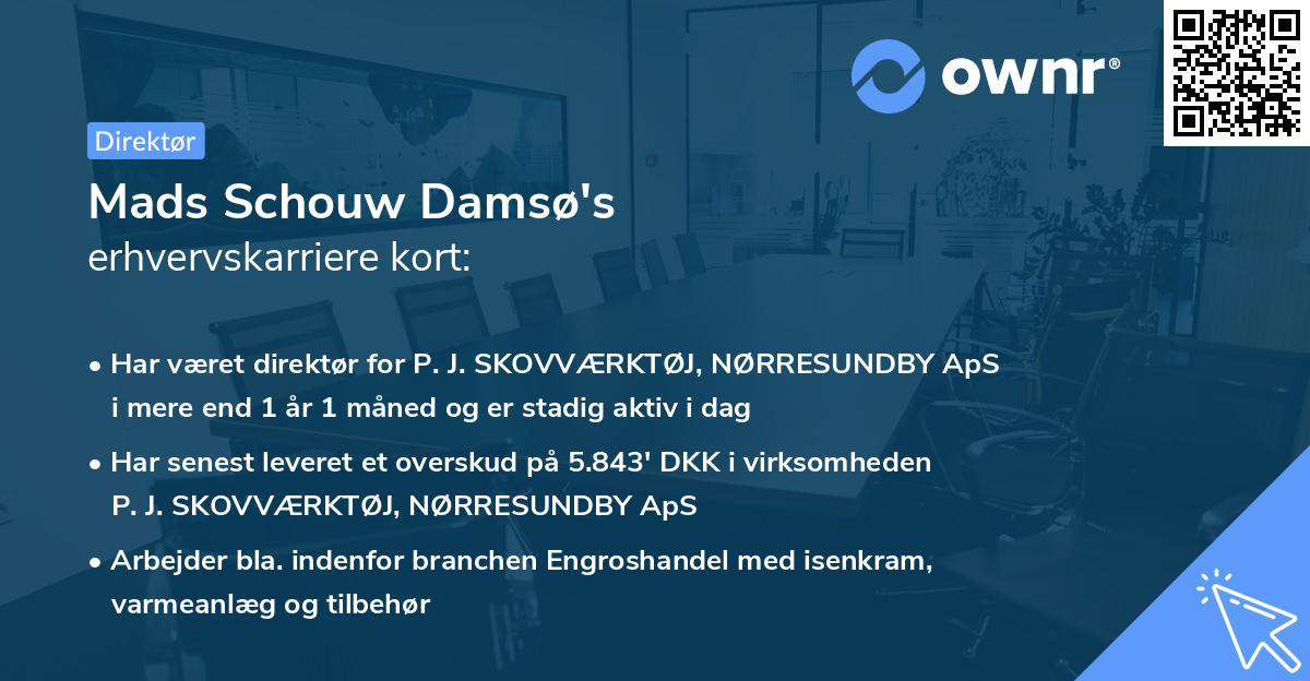 Mads Schouw Damsø's erhvervskarriere kort