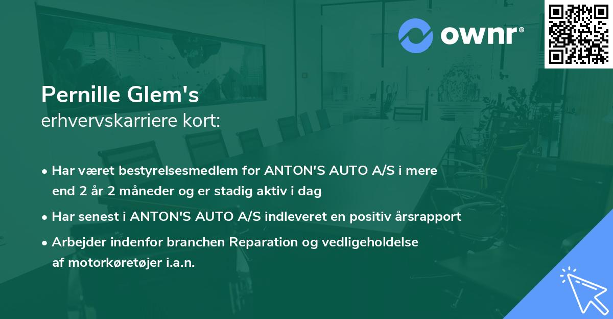 Pernille Glem's erhvervskarriere kort
