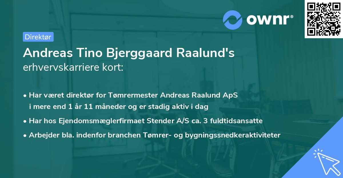 Andreas Tino Bjerggaard Raalund's erhvervskarriere kort