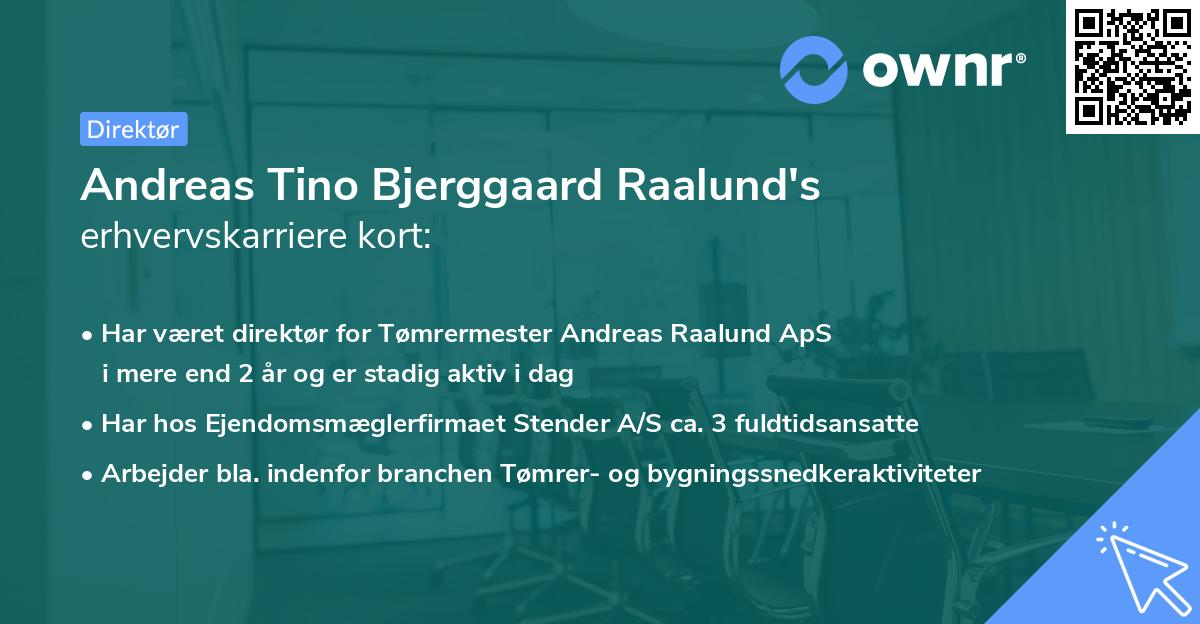 Andreas Tino Bjerggaard Raalund's erhvervskarriere kort