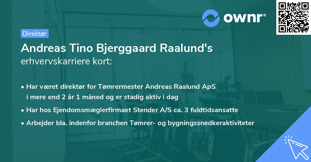Andreas Tino Bjerggaard Raalund's erhvervskarriere kort