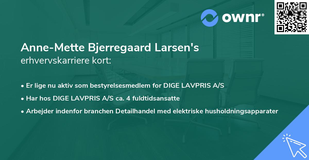 Anne-Mette Bjerregaard Larsen's erhvervskarriere kort