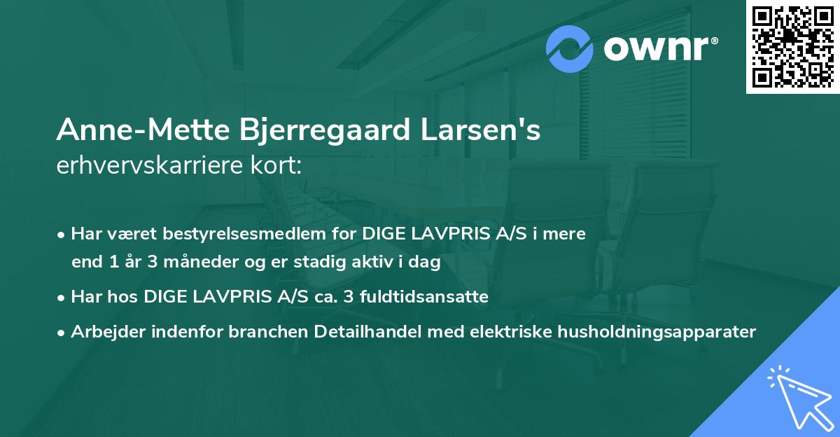 Anne-Mette Bjerregaard Larsen's erhvervskarriere kort