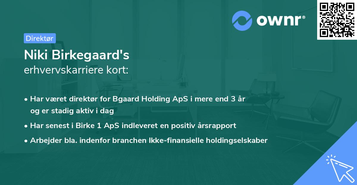 Niki Birkegaard's erhvervskarriere kort