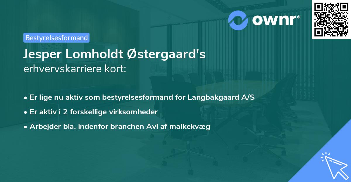 Jesper Lomholdt Østergaard's erhvervskarriere kort