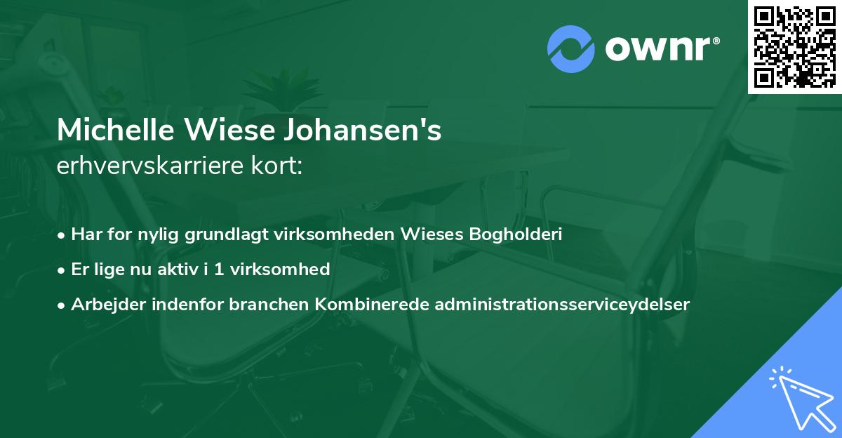 Michelle Wiese Johansen's erhvervskarriere kort