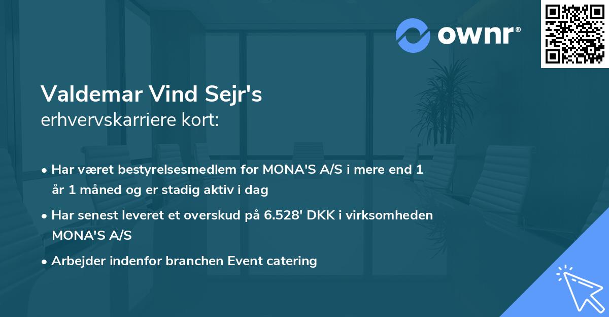 Valdemar Vind Sejr's erhvervskarriere kort