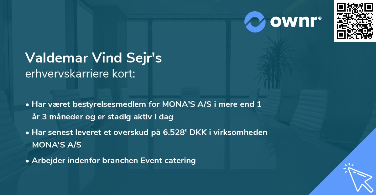 Valdemar Vind Sejr's erhvervskarriere kort