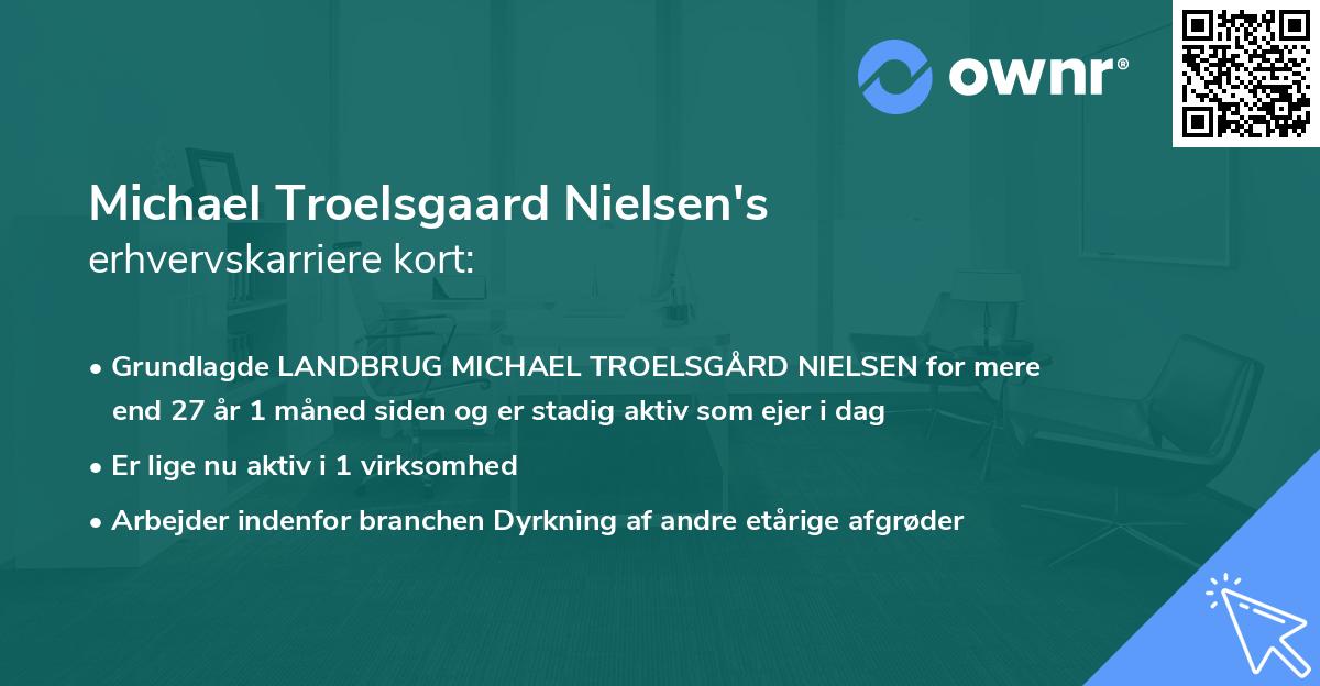 Michael Troelsgaard Nielsen's erhvervskarriere kort