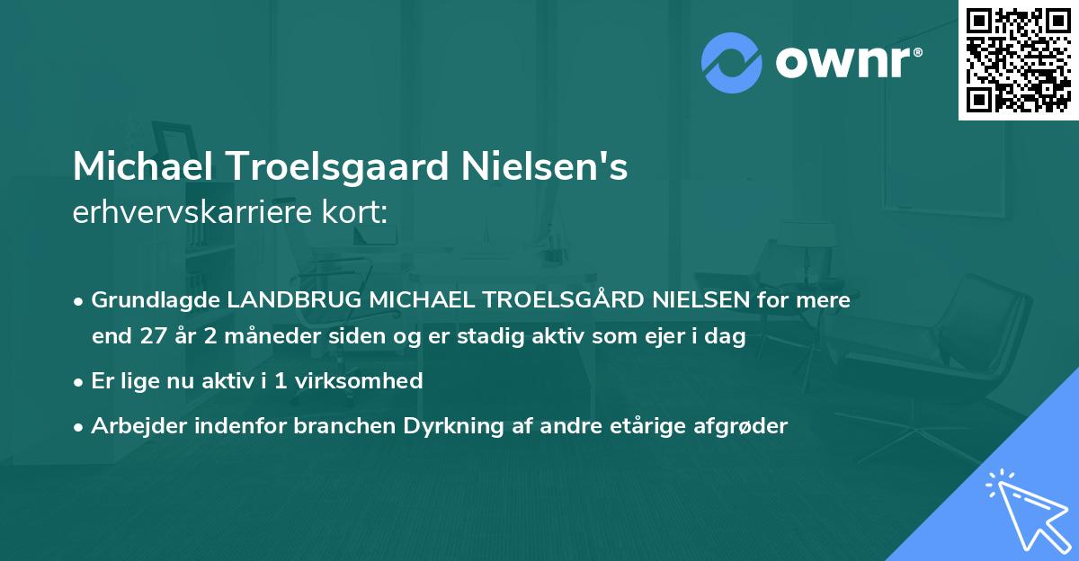 Michael Troelsgaard Nielsen's erhvervskarriere kort