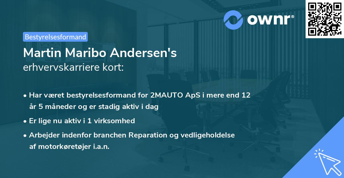Martin Maribo Andersen's erhvervskarriere kort