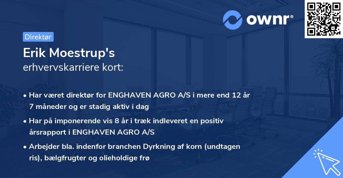Erik Moestrup's erhvervskarriere kort
