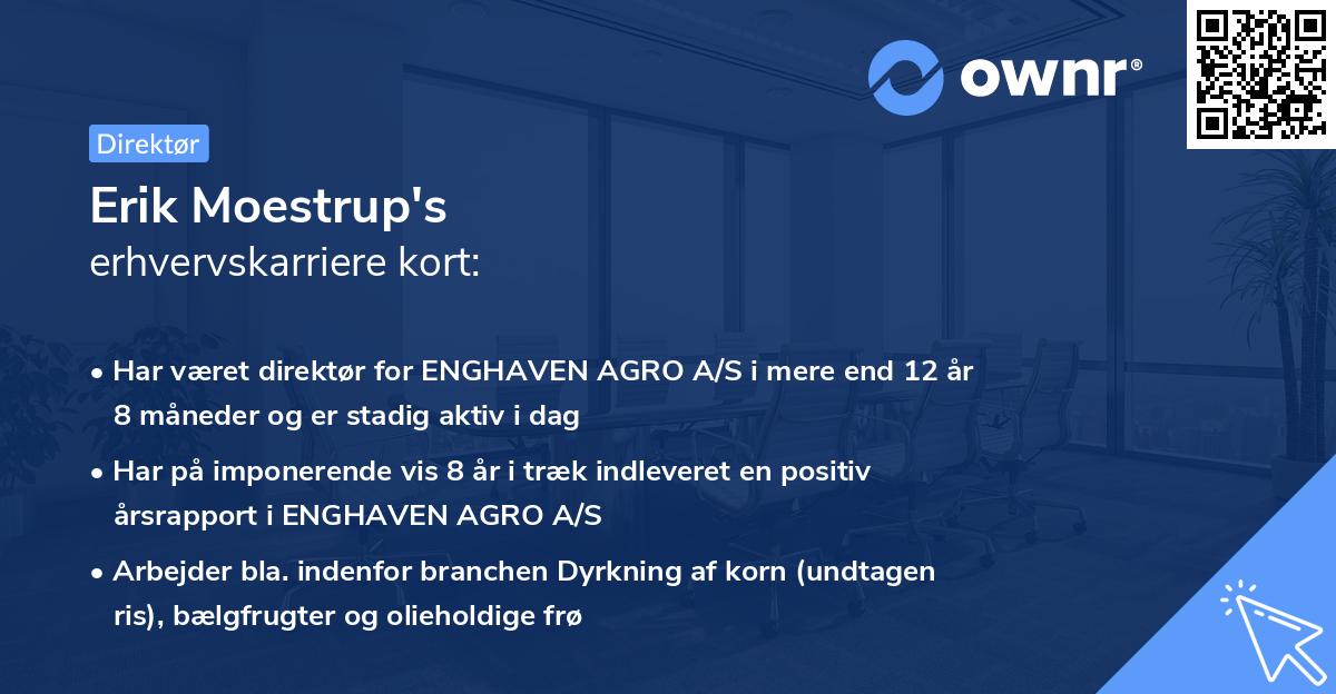 Erik Moestrup's erhvervskarriere kort